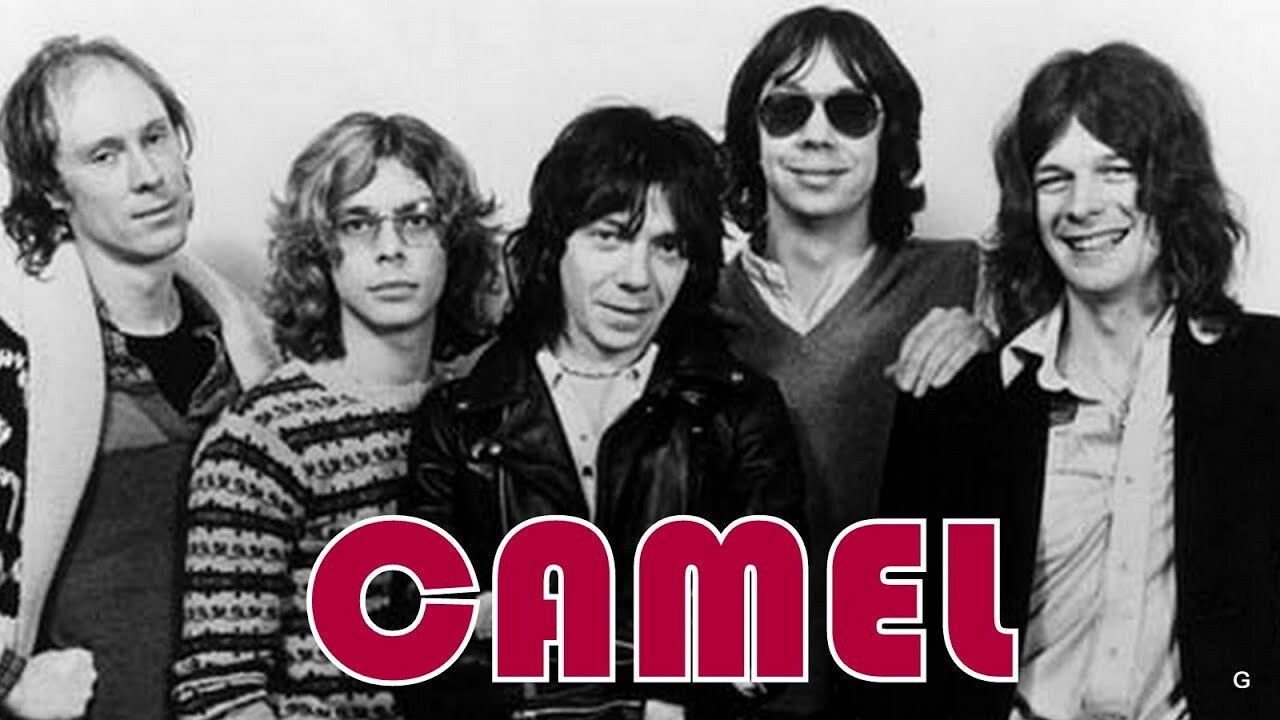 Camel - Moondances backdrop