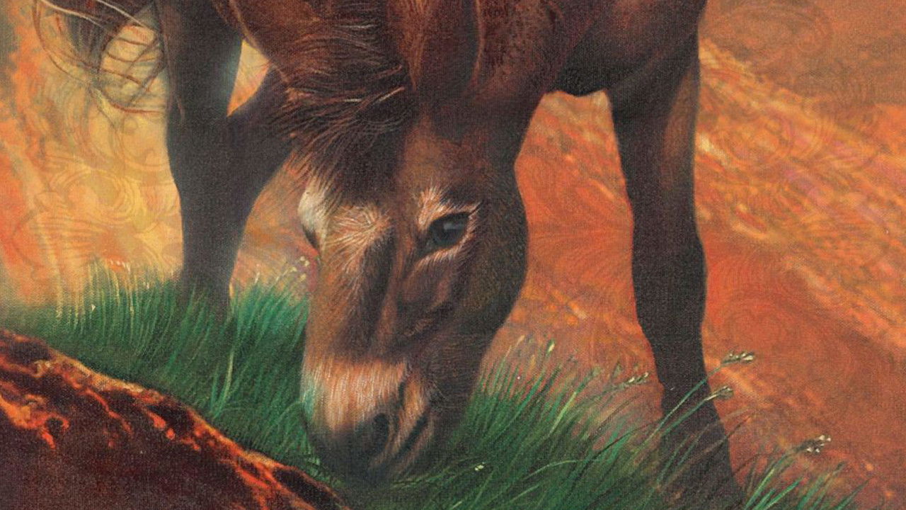 Brighty of the Grand Canyon backdrop