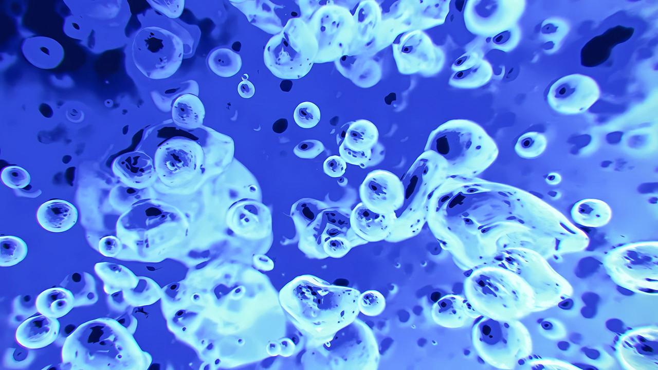 The Best Of Liquid Television backdrop