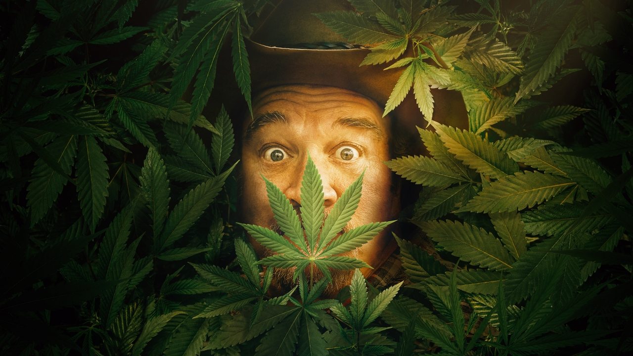 Growing Belushi backdrop