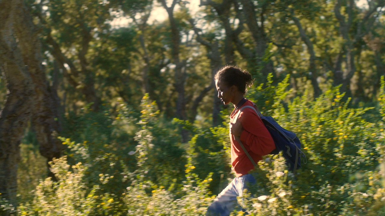 Mehret goes East backdrop