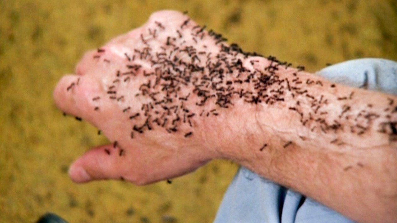 It Happened at Lakewood Manor backdrop