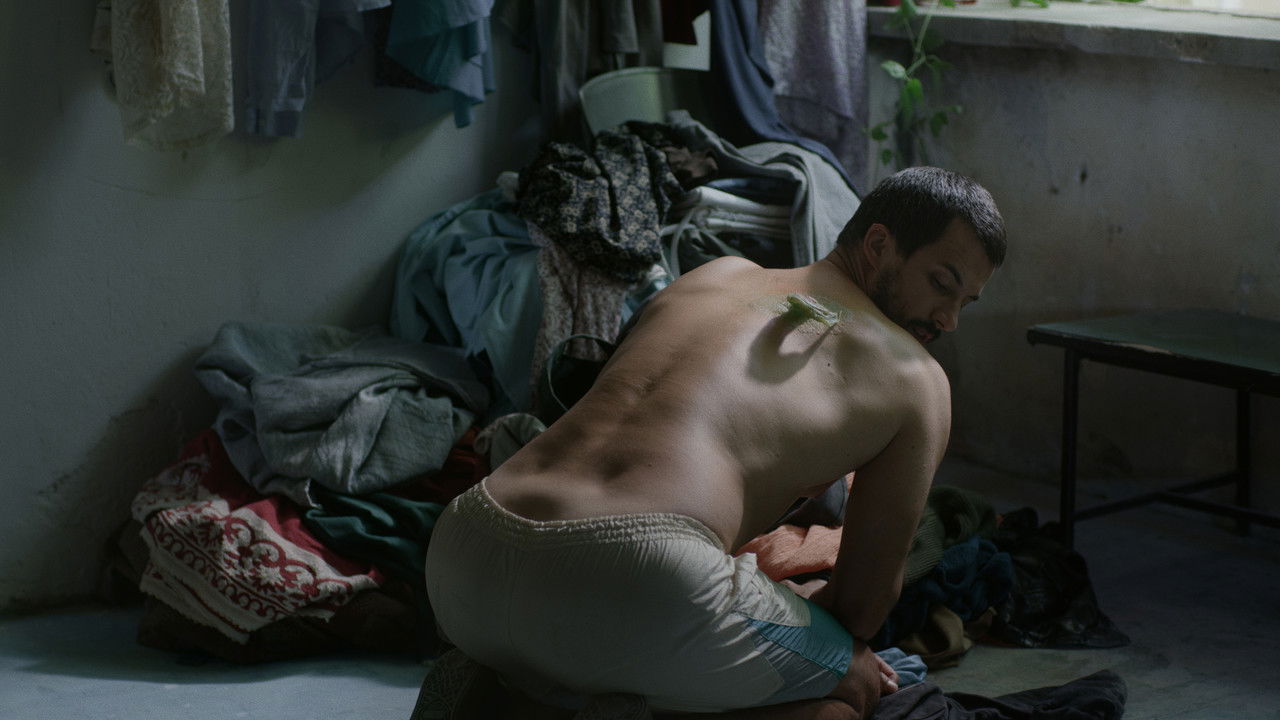 Desire Lines backdrop