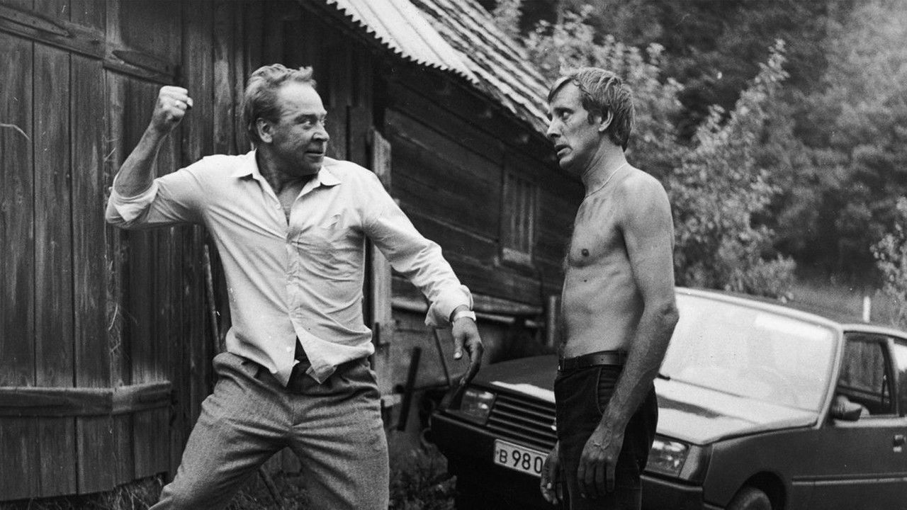 The Joys of Midlife backdrop