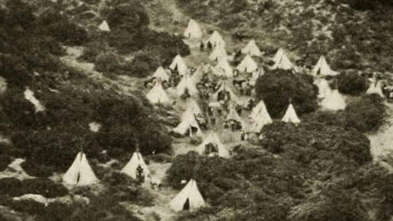 In the Days of the Thundering Herd backdrop