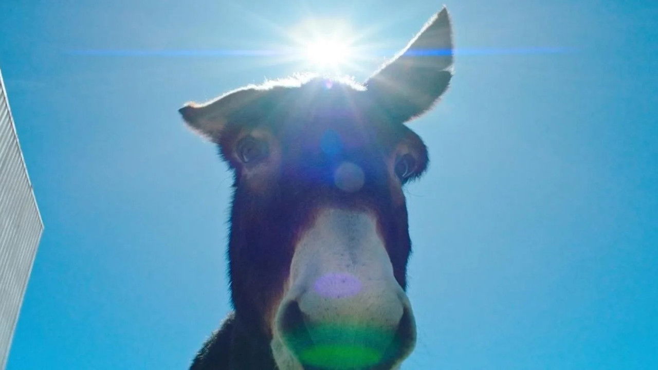 Perfectly a Strangeness backdrop