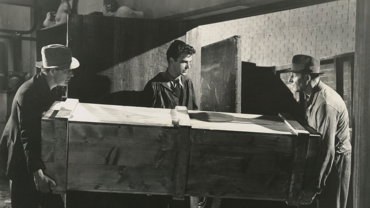 Killer at Large backdrop