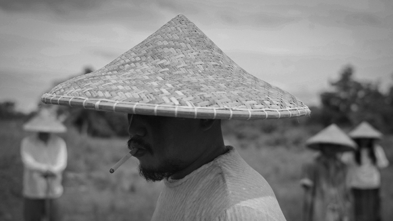 Seven Monkeys backdrop