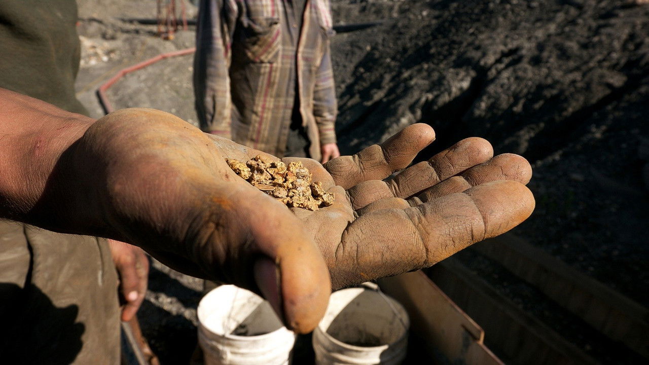 Goldfathers backdrop