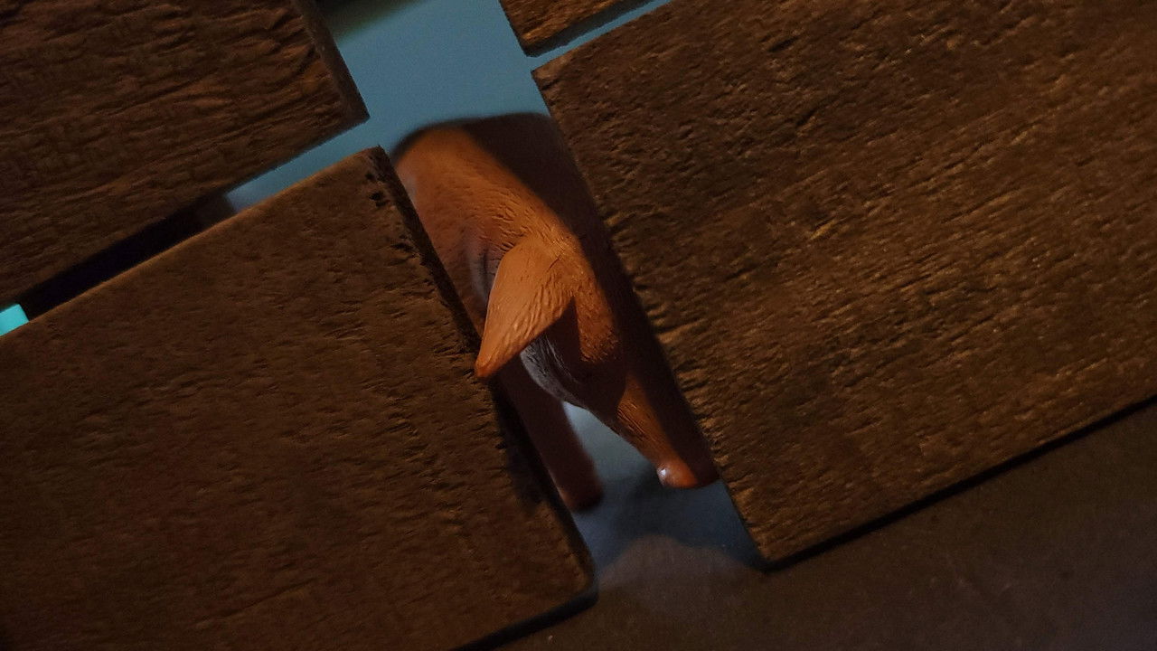 A New Taste backdrop