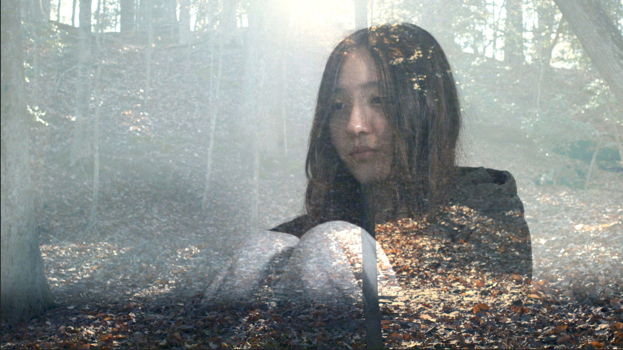 Statement 15 backdrop