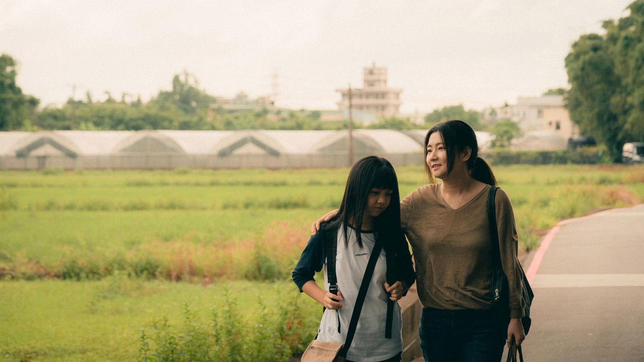 The Funeral backdrop