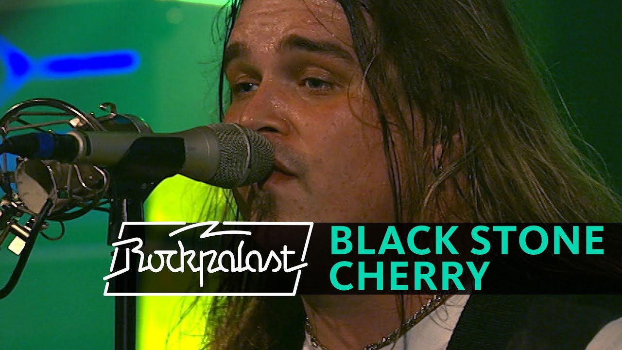 Black Stone Cherry: Crossroads Festival 2009 backdrop