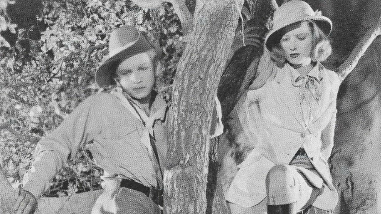 Tim Tyler's Luck backdrop