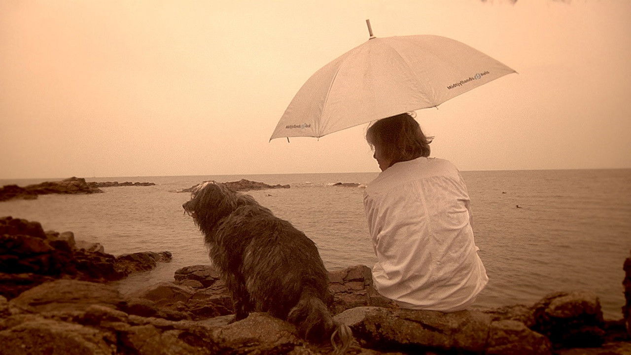 Shadow of a Hero backdrop