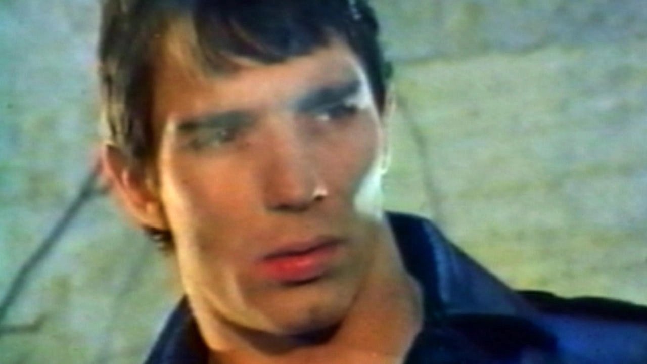 Mondo Homo: Inquiry Into 70's Gay French Porn backdrop