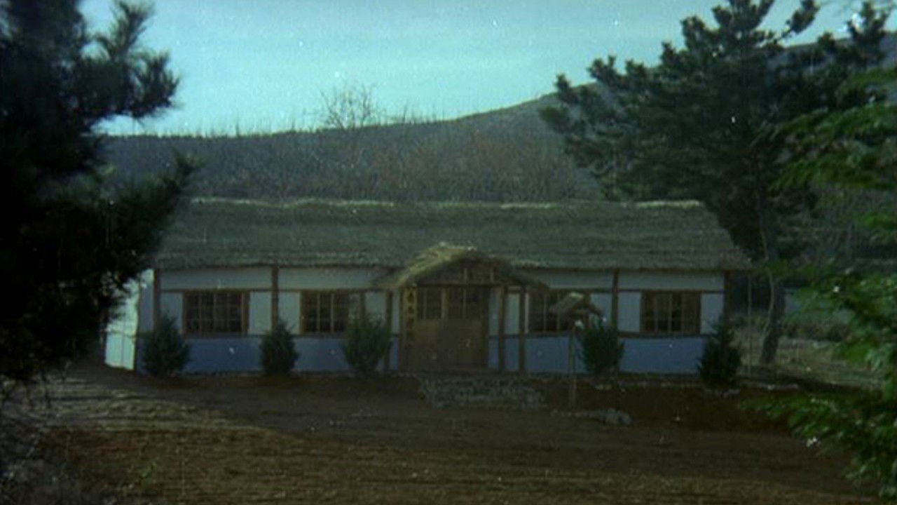 The Evergreen Tree backdrop