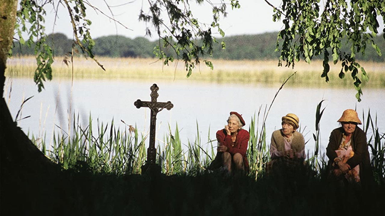 Now or Never backdrop