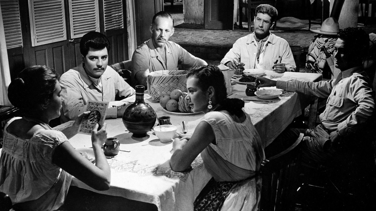 Rosa blanca backdrop