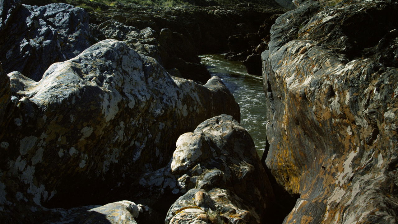 Nos Campos em Volta backdrop