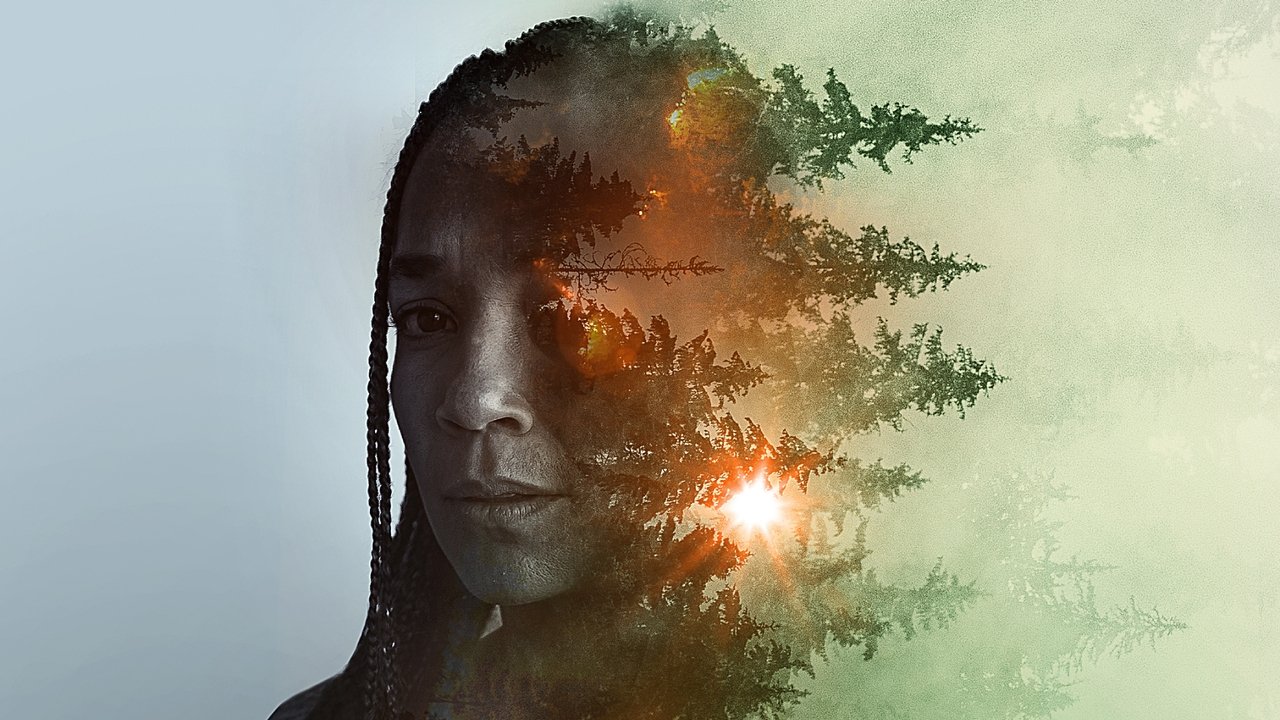 Sheltering Season backdrop