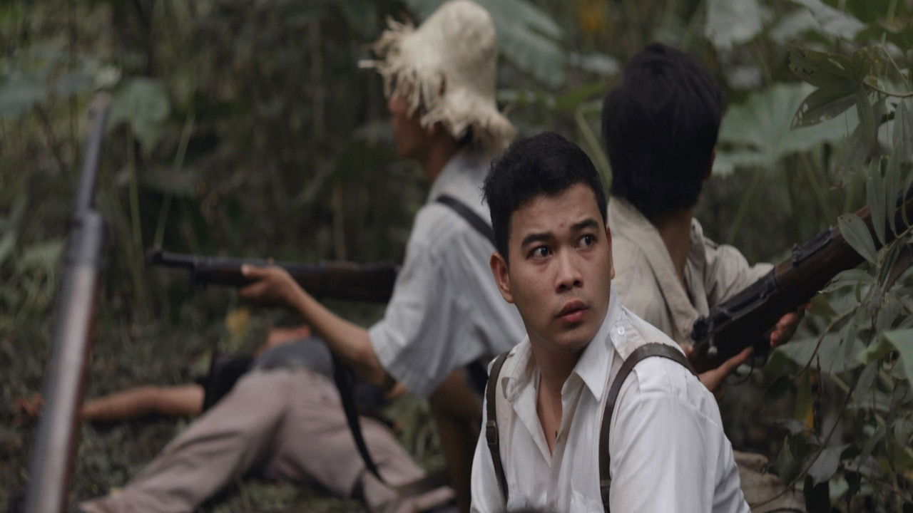 Beauty Queen backdrop