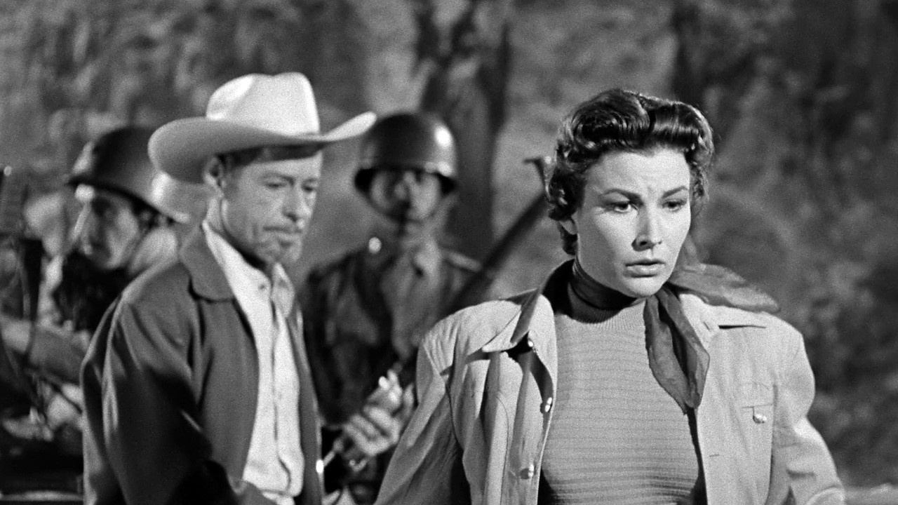 The Black Scorpion backdrop