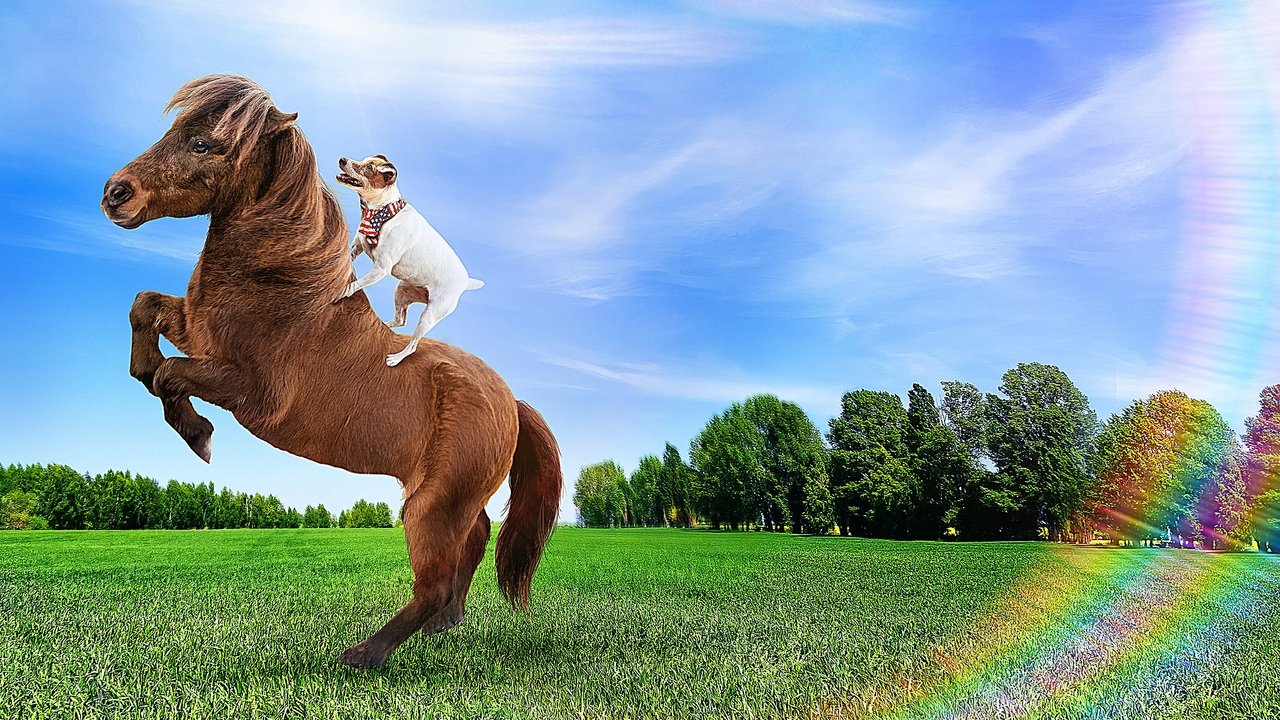 Adventures of Dally and Spanky backdrop