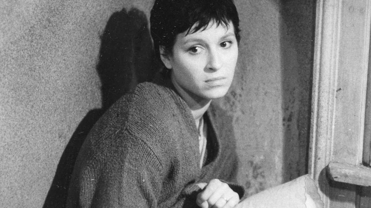 The Countess backdrop