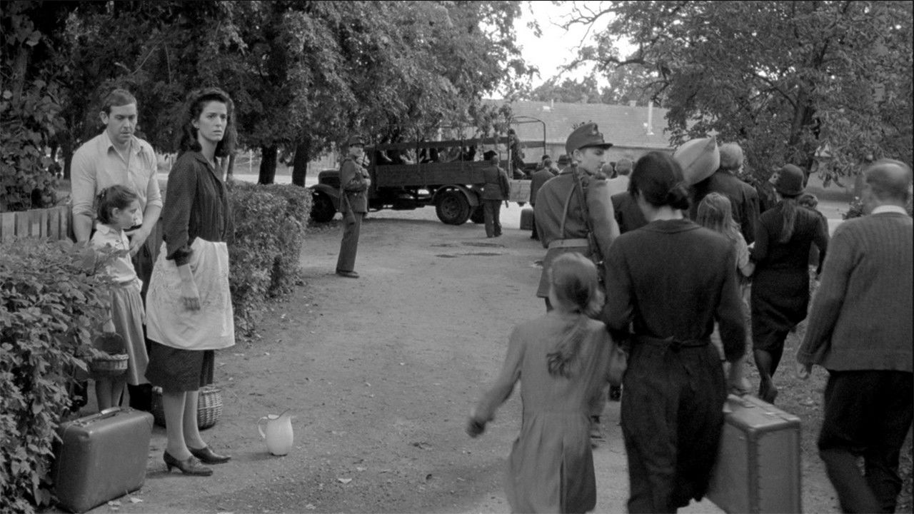 Ebéd előtt backdrop