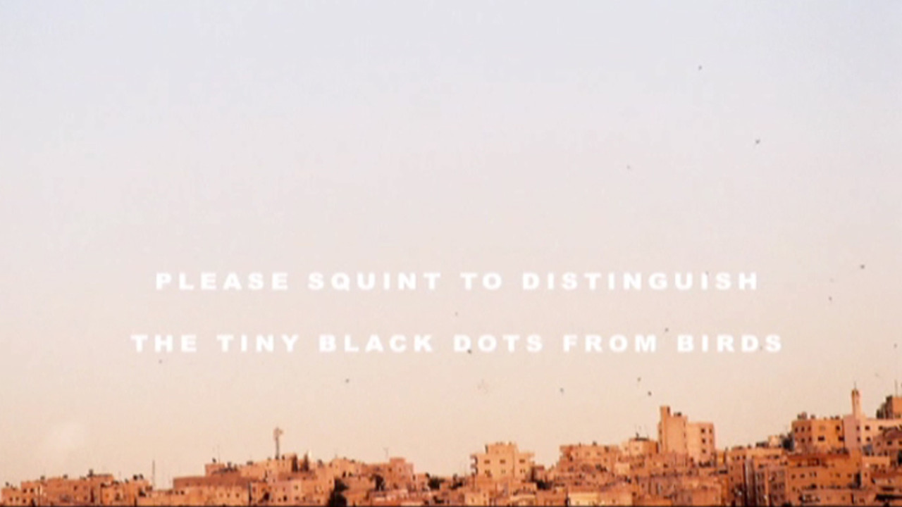 The Story of Milk and Honey backdrop