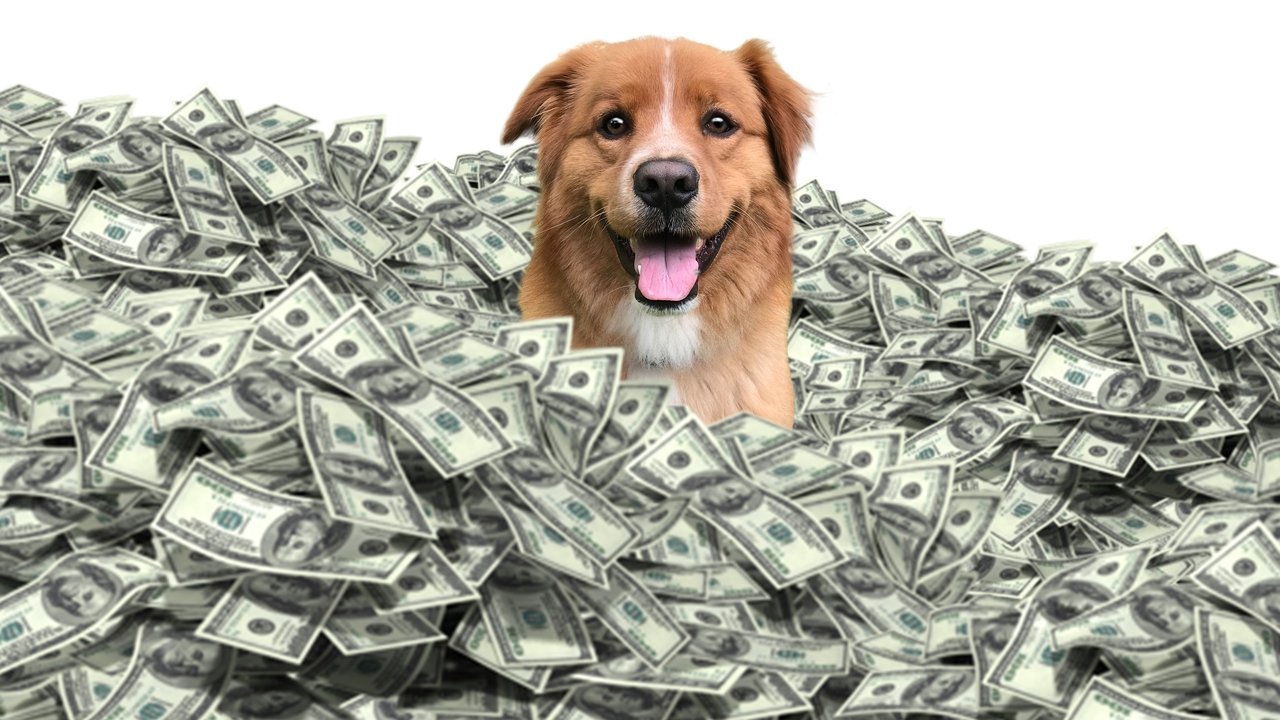 The Furry Fortune backdrop