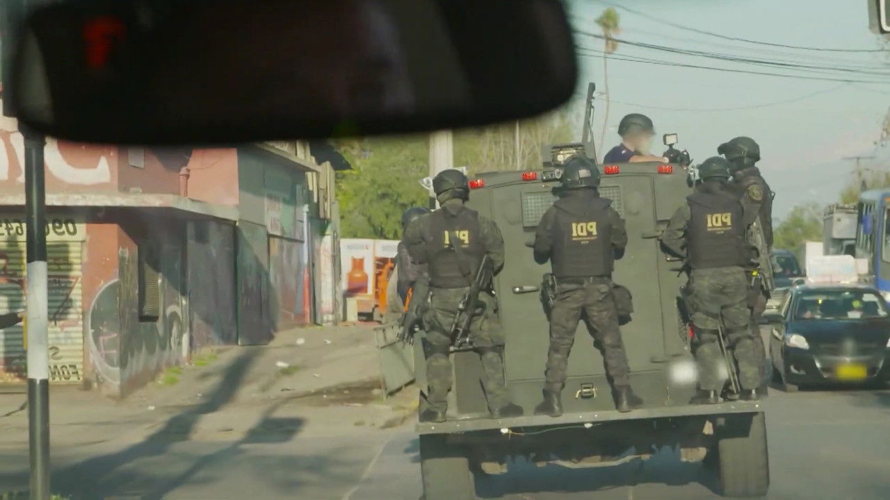 Alto! Frontera backdrop