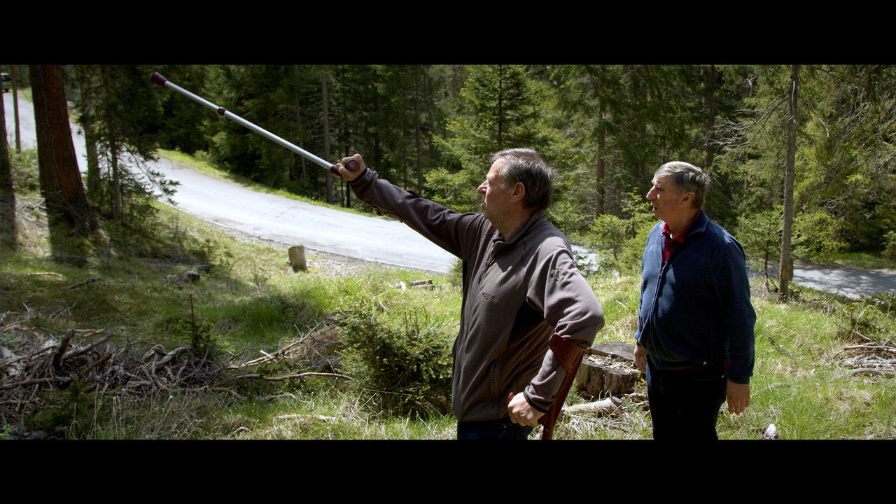 Herbstfeuer backdrop