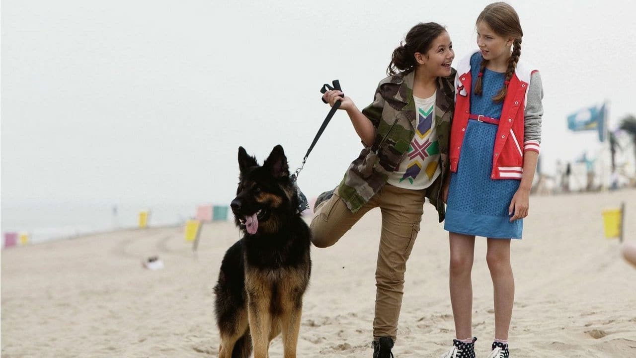 The 4 from Westwijk backdrop