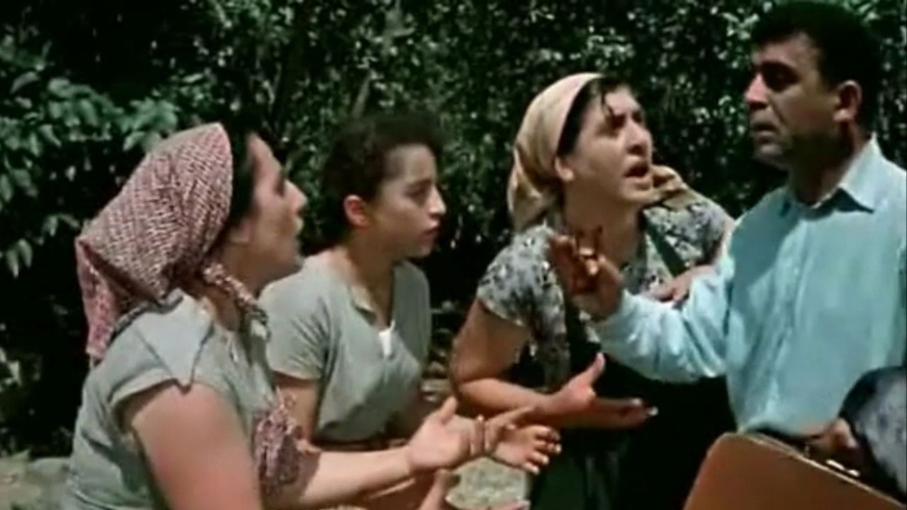 Son-in-law without Diploma backdrop