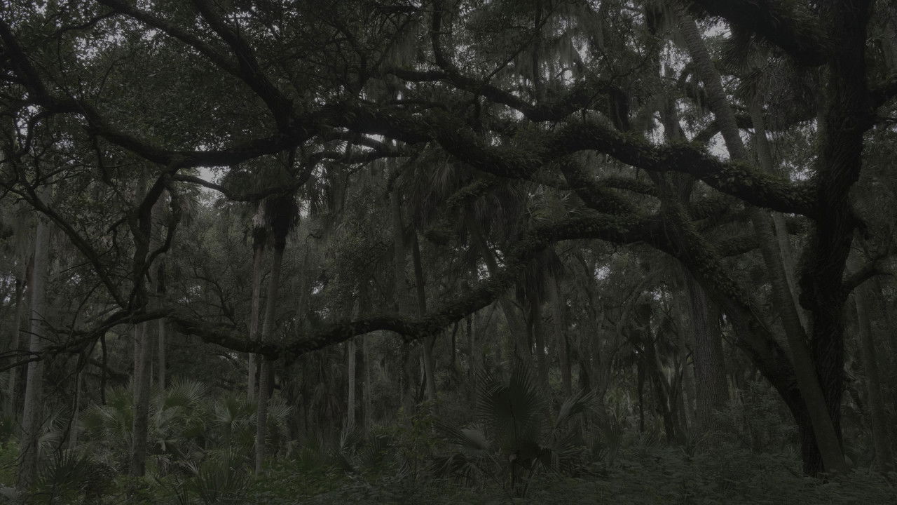 Nomotopowell backdrop