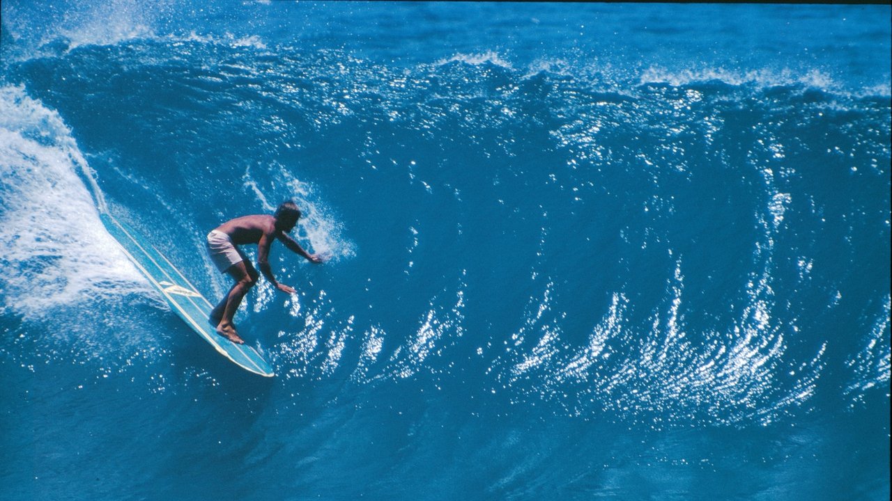 Five Summer Stories backdrop