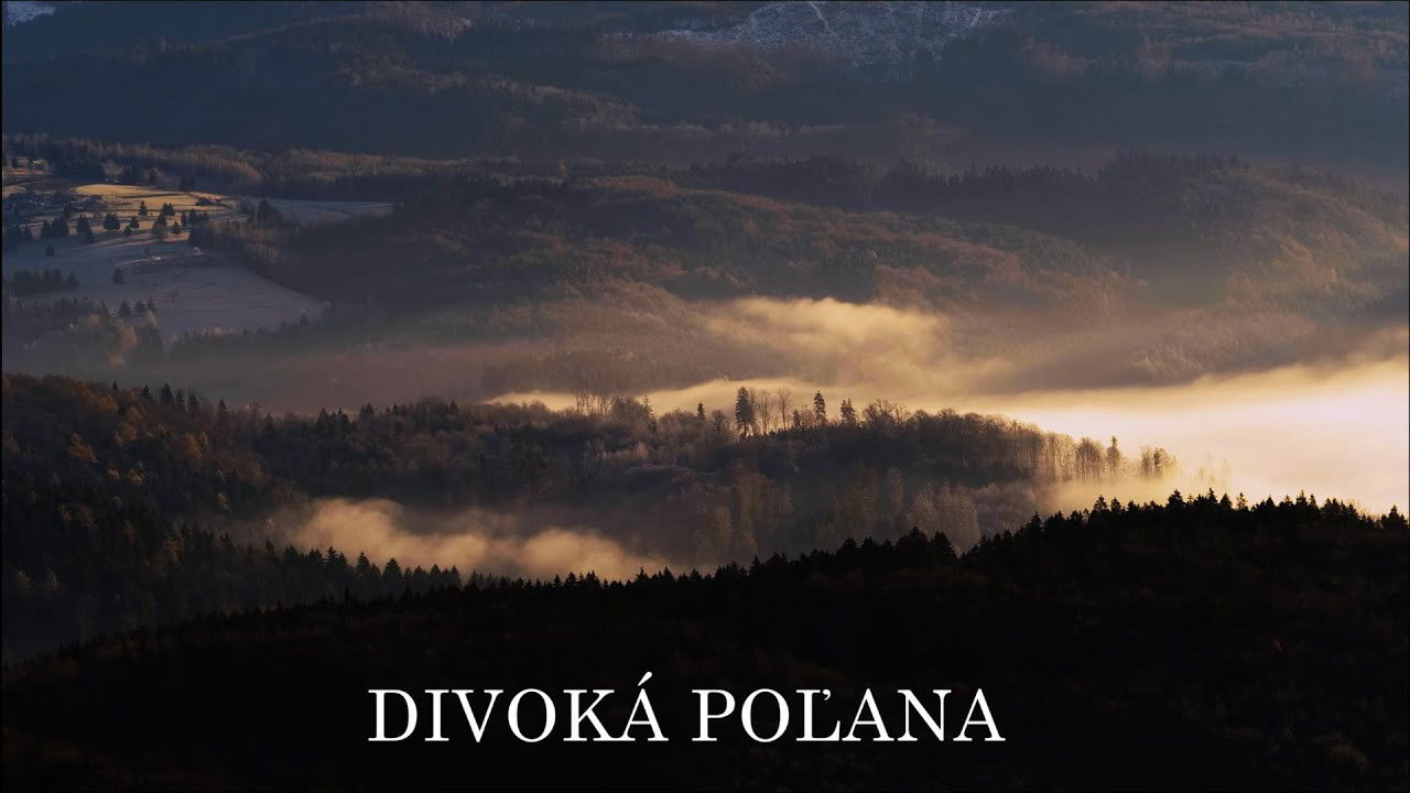 Divoká Poľana: Poľanský jeleň backdrop