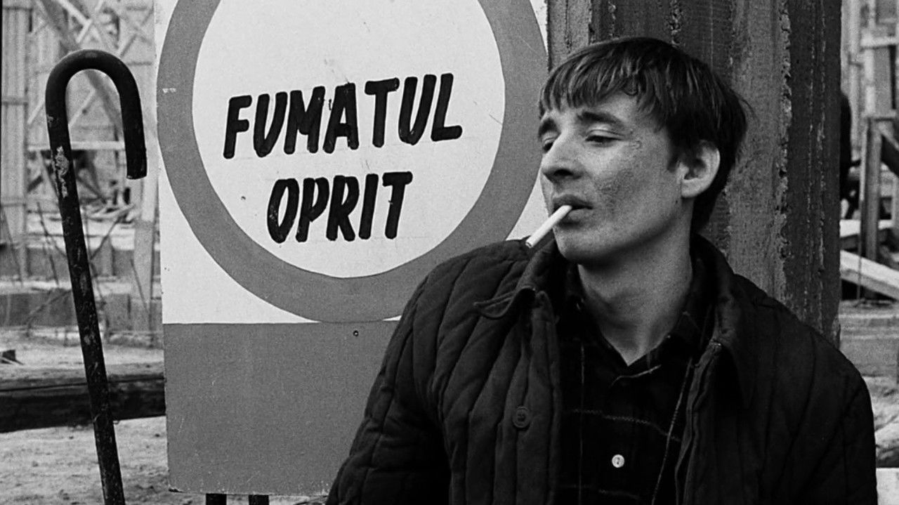 Pisciculture backdrop