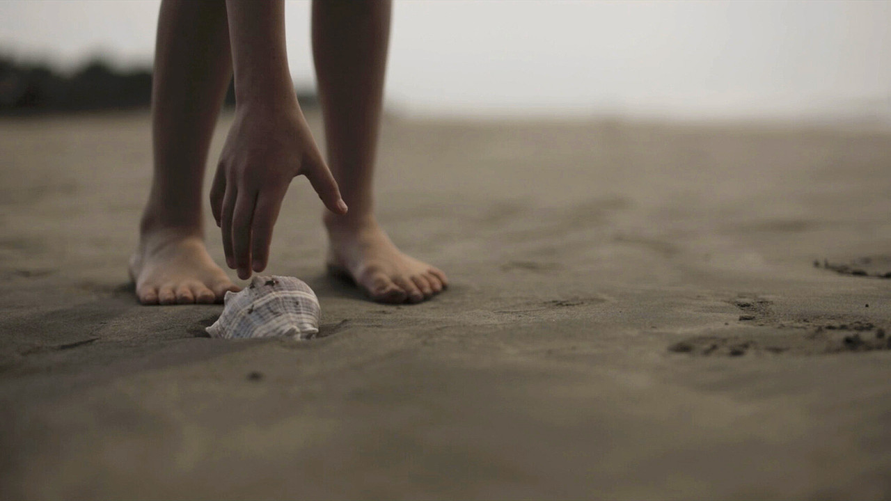 Atardeceres backdrop