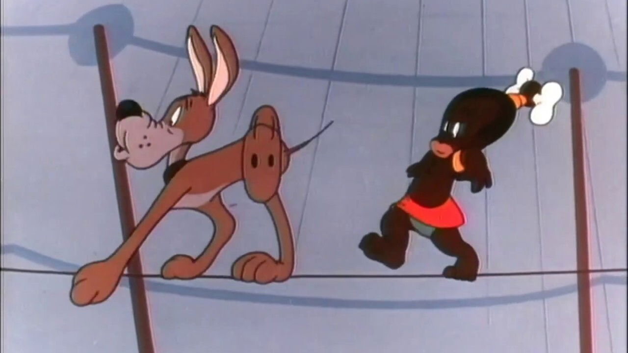 Inki at the Circus backdrop