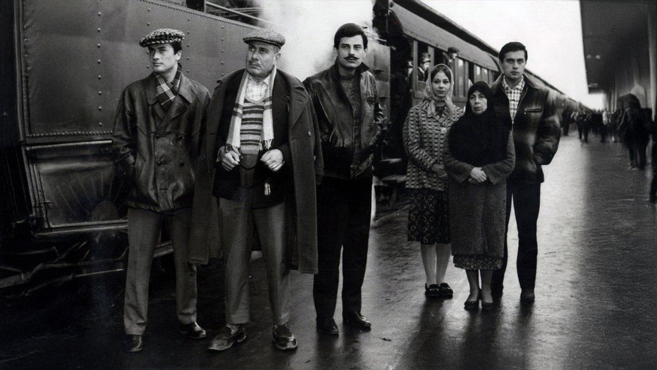 Birds of Exile backdrop
