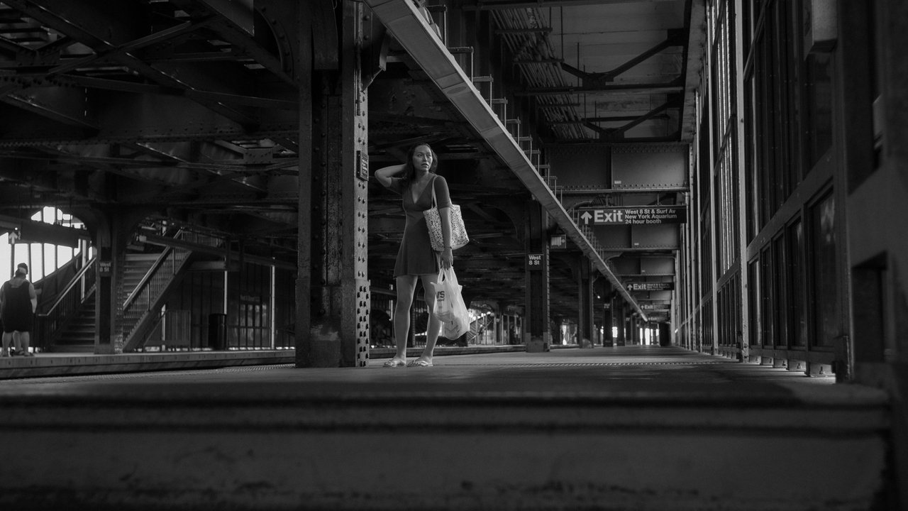 Lingua Franca backdrop