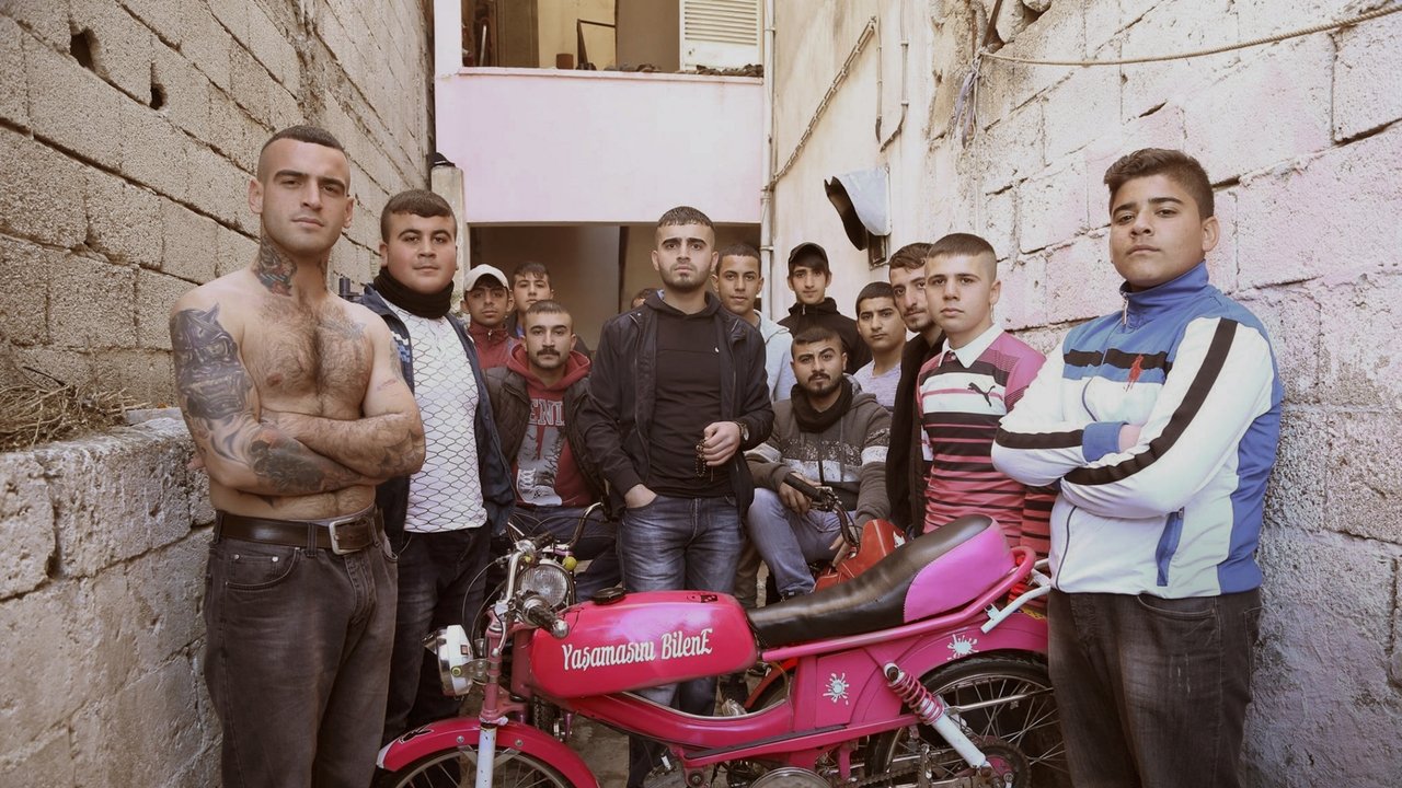 My Suburban Stories backdrop