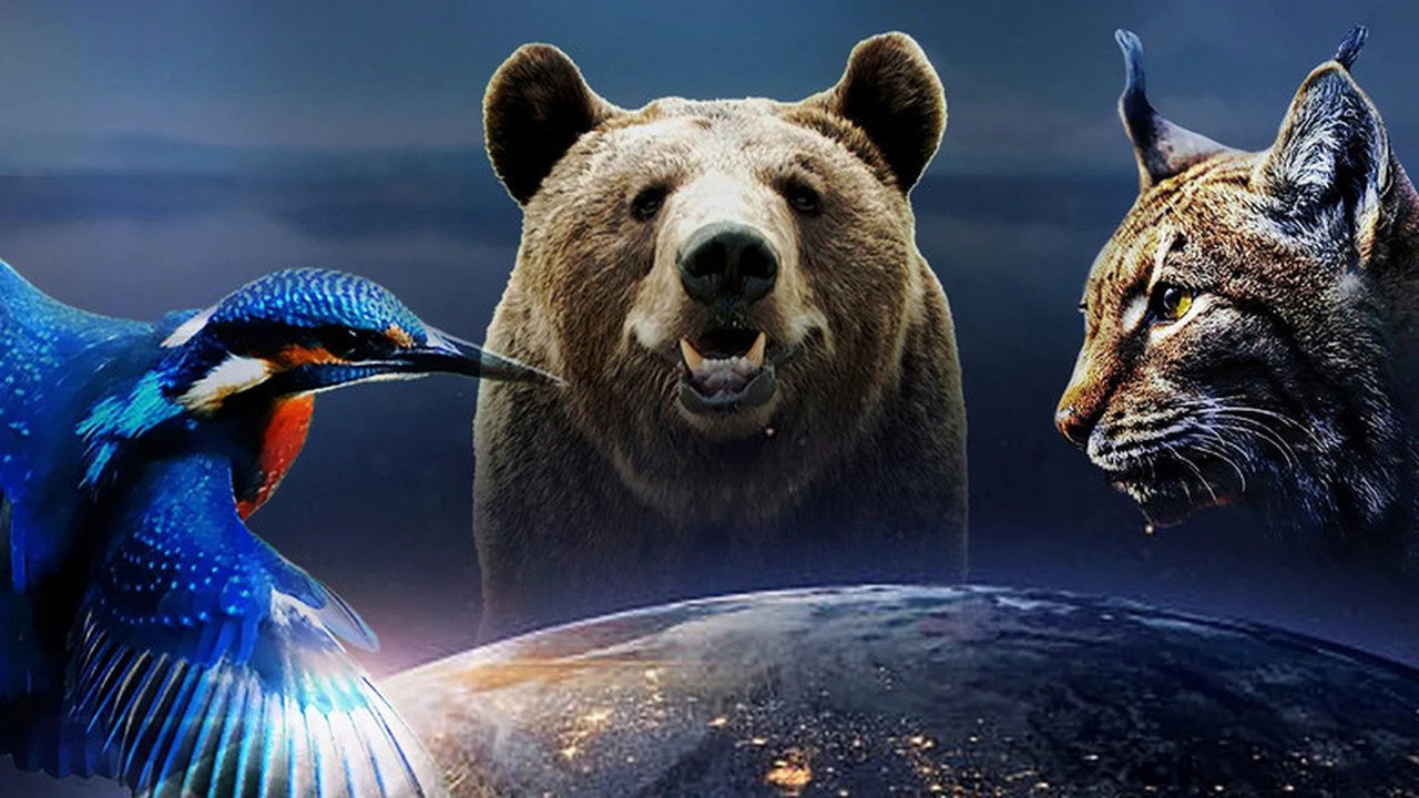 Faszination Europa backdrop