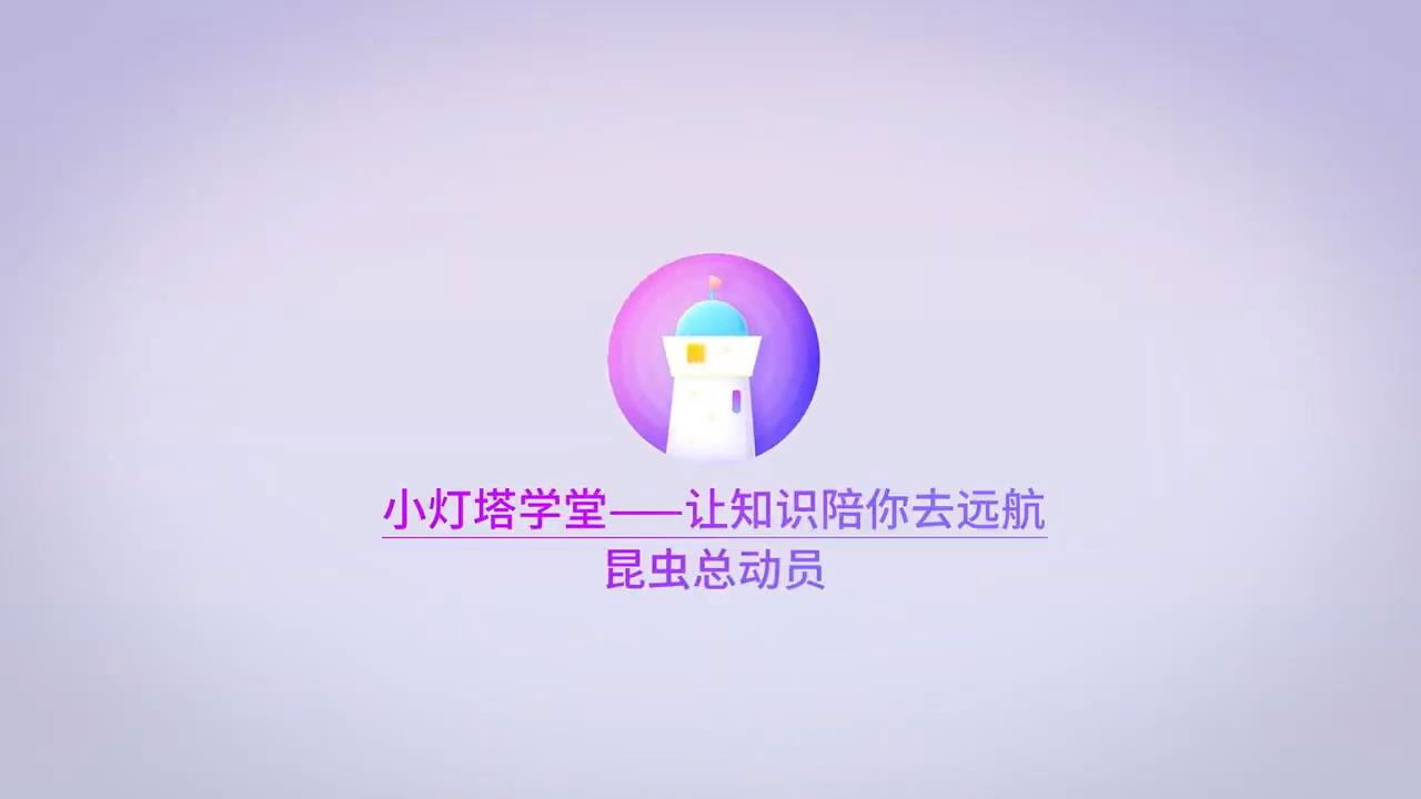 昆虫世界儿童动画 backdrop