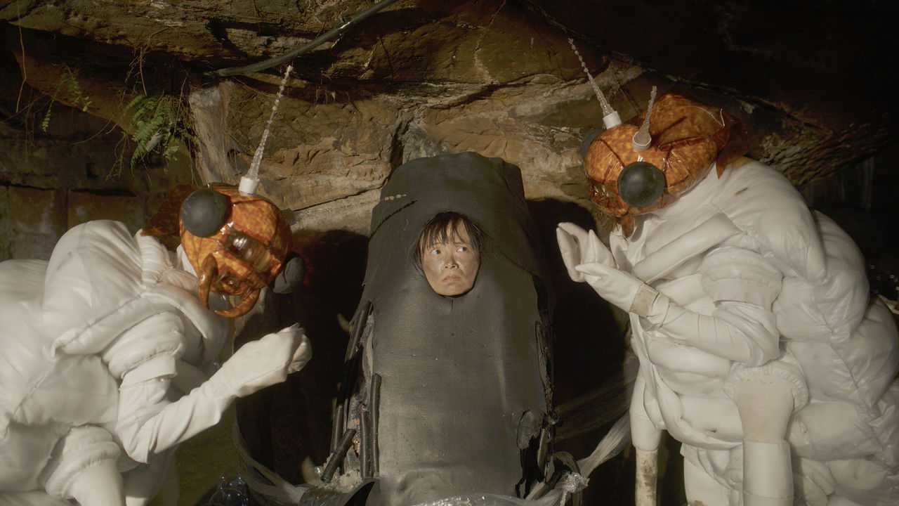 Termite Feeding Show backdrop