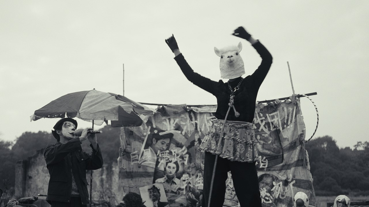Circus at Dusk backdrop