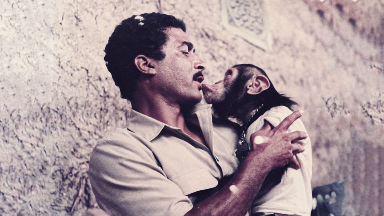 Four On An Official Mission backdrop